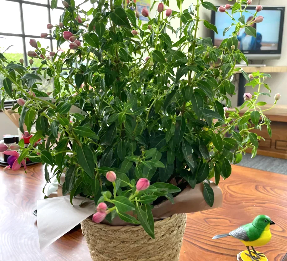 さんろく茶屋の店内に置かれた花と鳥の置物